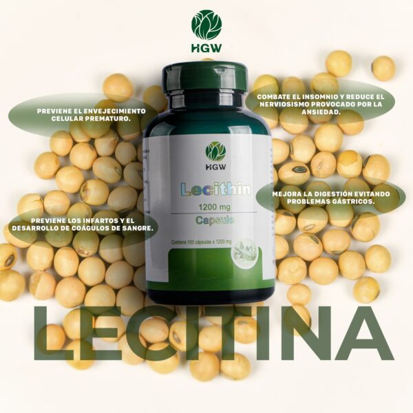 Lecithin softgel /lecitina de soya capsulas/ - Imagen 2